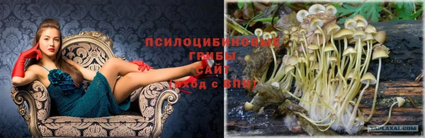 не бодяженный Михайловка