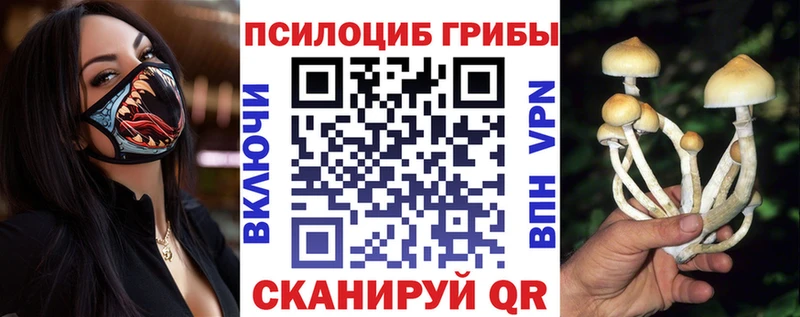 Галлюциногенные грибы мухоморы  Ухта 