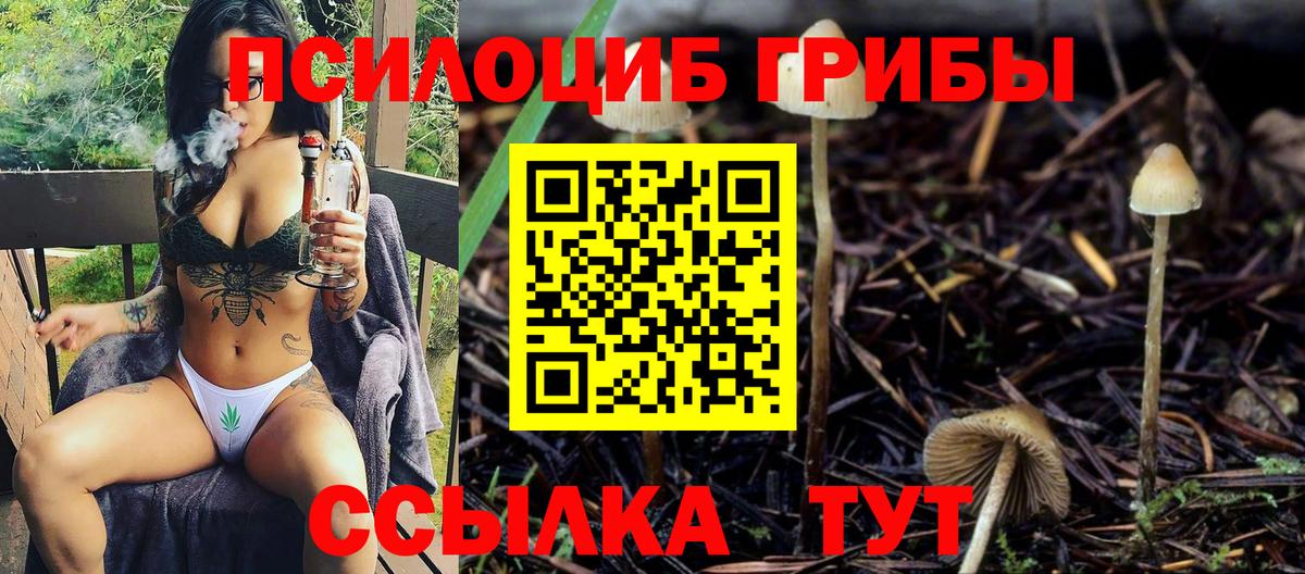 Псилоцибиновые грибы Magic Shrooms Ухта