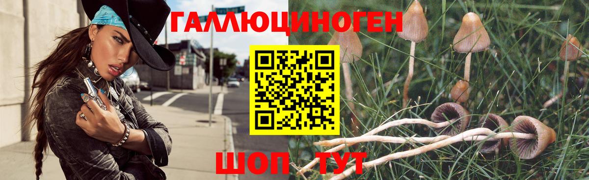 Галлюциногенные грибы прущие грибы Ухта